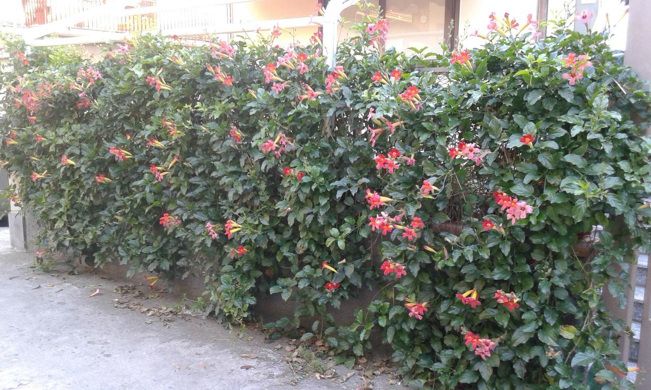 Eurelios Acomodação com café da manhã Adrano Exterior foto